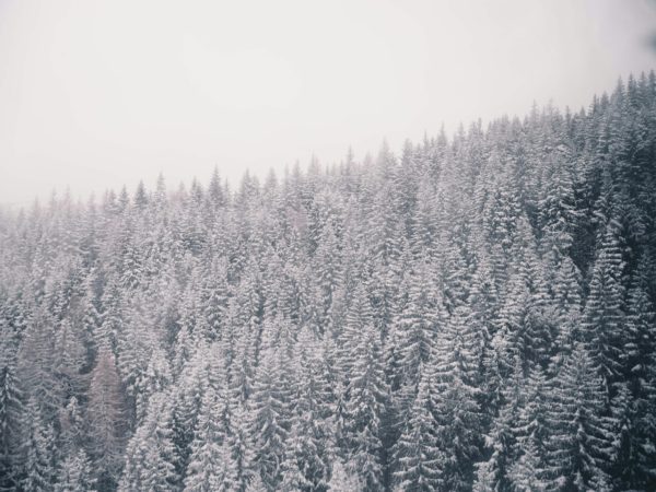 Zakopane - obóz detektywistyczny - Górski Śledczy: Zakopiańskie Zagadki - obrazek 5