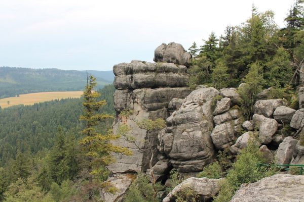 Kudowa Zdrój - Willa Alfa (NA ZAPYTANIE) - obrazek 7