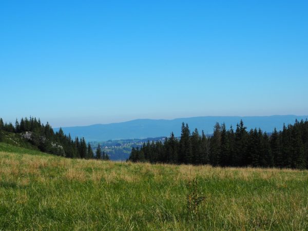 Z wizytą u Sabały - obrazek 2
